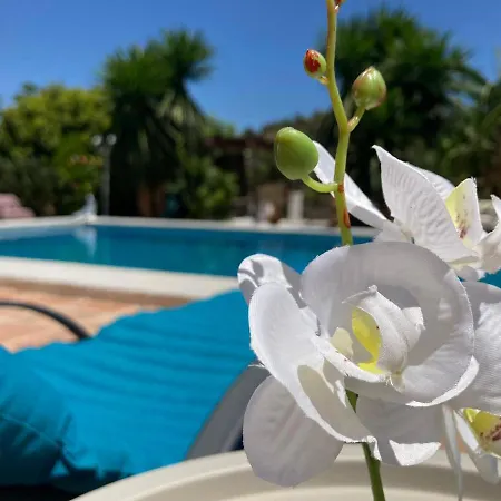 Bed & Breakfast Del Gecko *