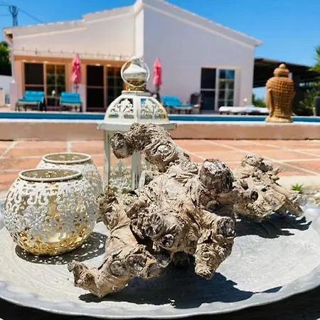 Bed and breakfast Del Gecko *
