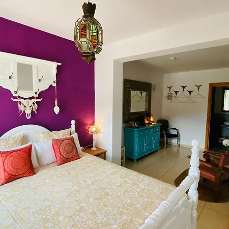 Del Gecko Bed & Breakfast *